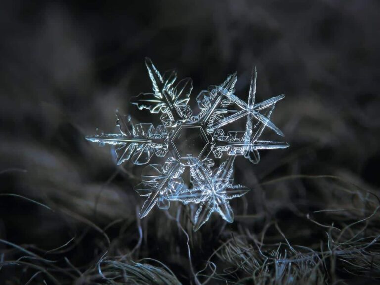 Um floco de neve de placa, achatado e detalhado, com formas hexagonais e padrões delicados que lembram uma joia intricada.